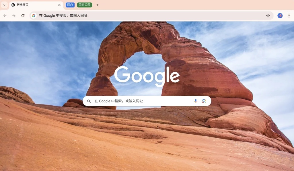 Chrome 浏览器界面示例
